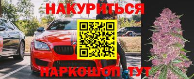 гидра Братск