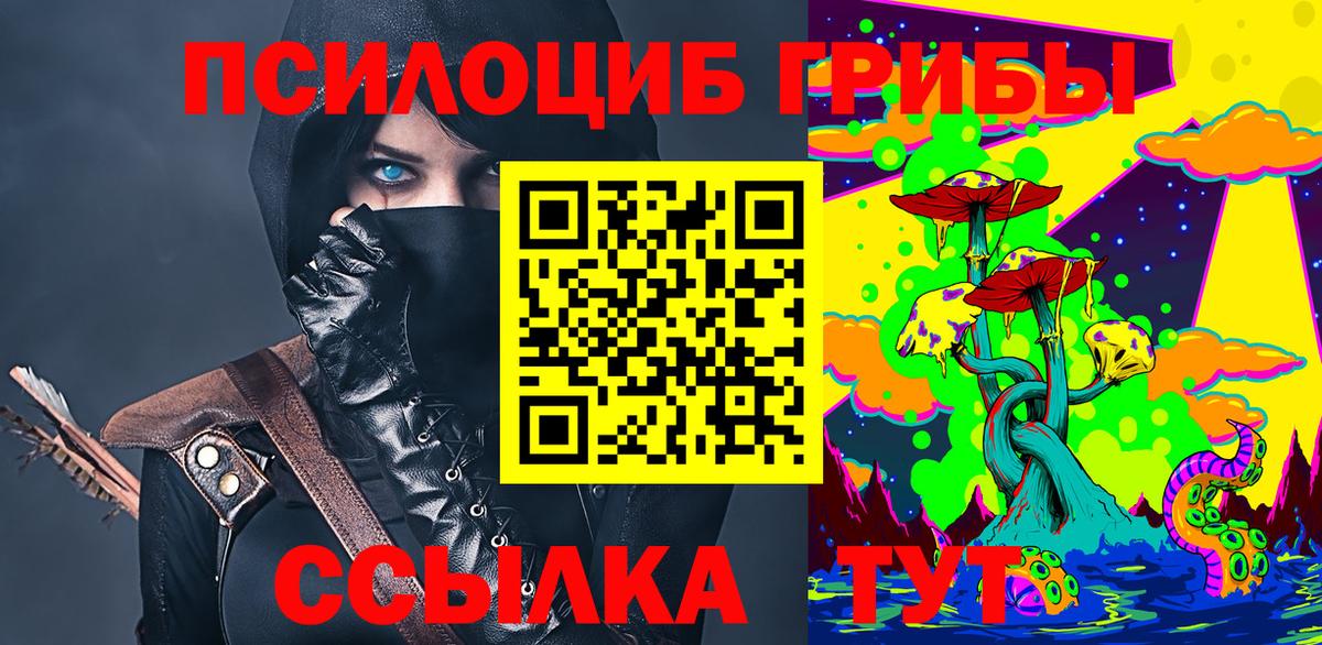 Ставрополь  Псилоцибиновые грибы Magic Shrooms  как найти   Вход с VPN 