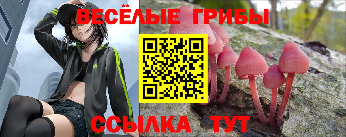 Галлюциногенные грибы прущие грибы Ставрополь
